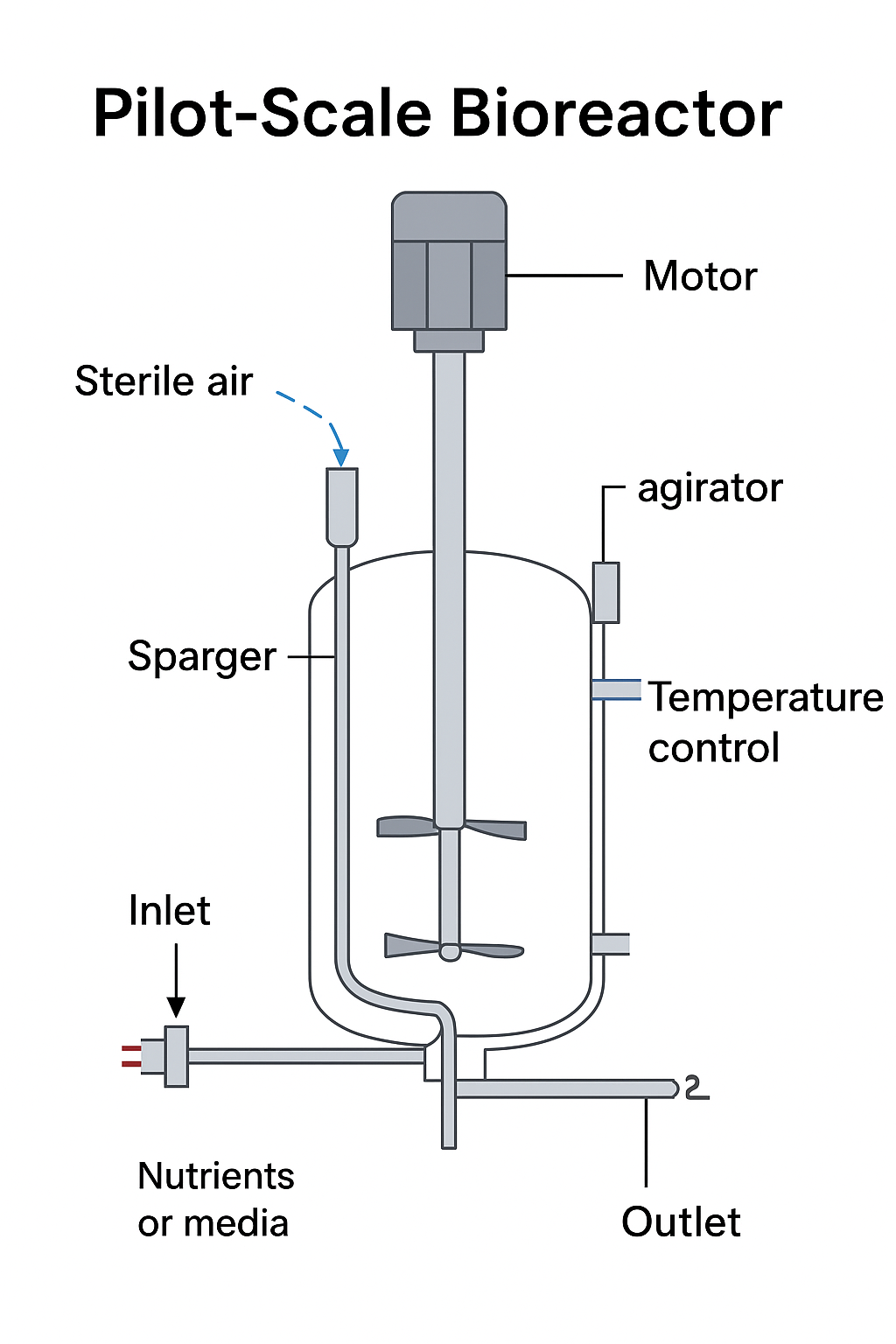 Pilot scale bioreactor and features